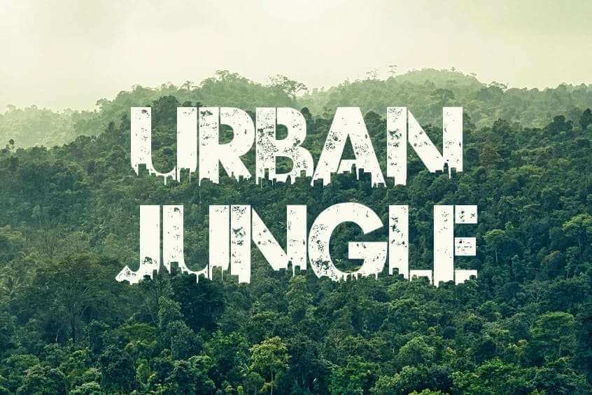 Urban-Jungle-Vintage-Font-1