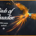 Birds of Paradise Font