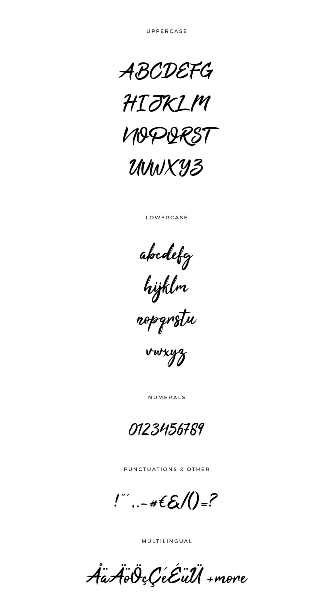 Tahu Bold Script Font -3