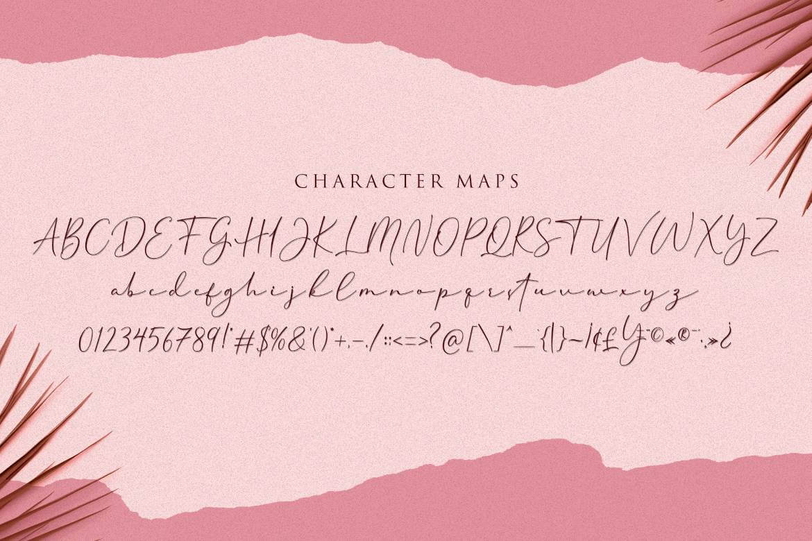 Cherolina Calligraphy Font 3