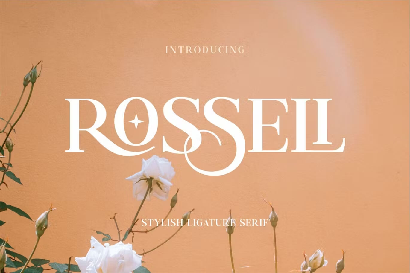 Rosseli Font