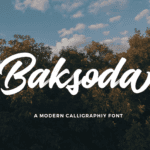 Baksoda Script Font