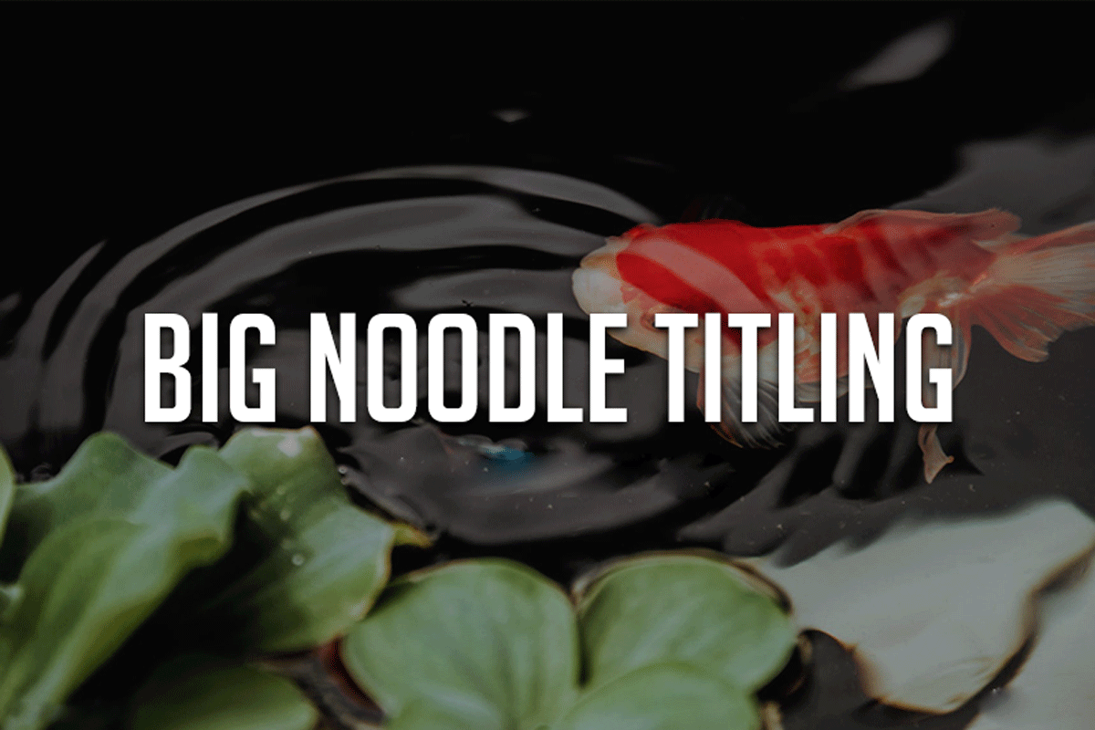 Big Noodle Titling Font