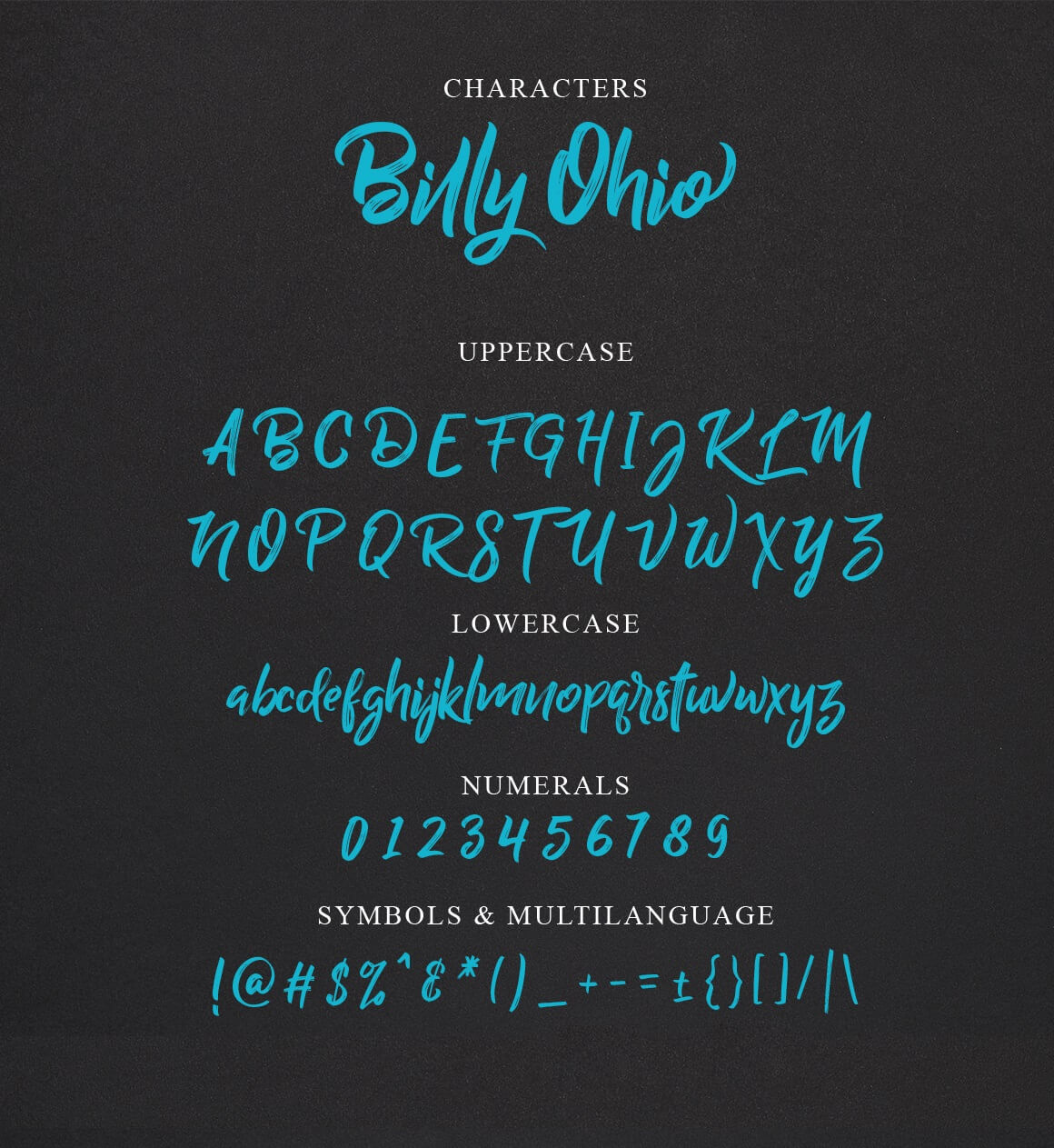 Billy Ohio Font 3