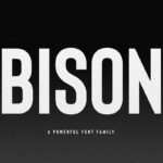 Bison Font