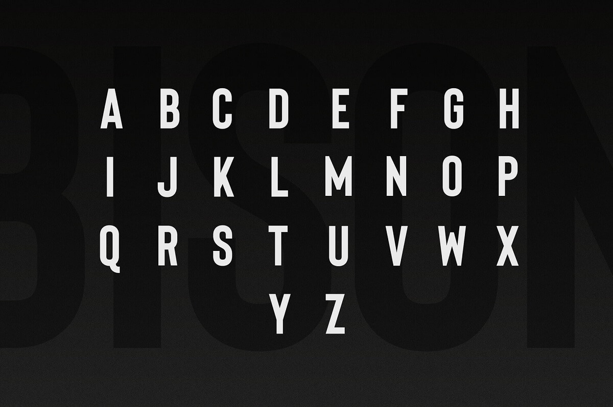 Bison Font 3