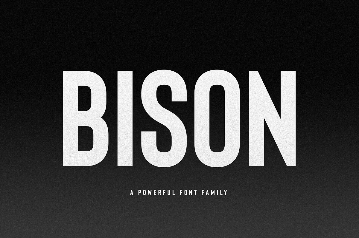 Bison Font