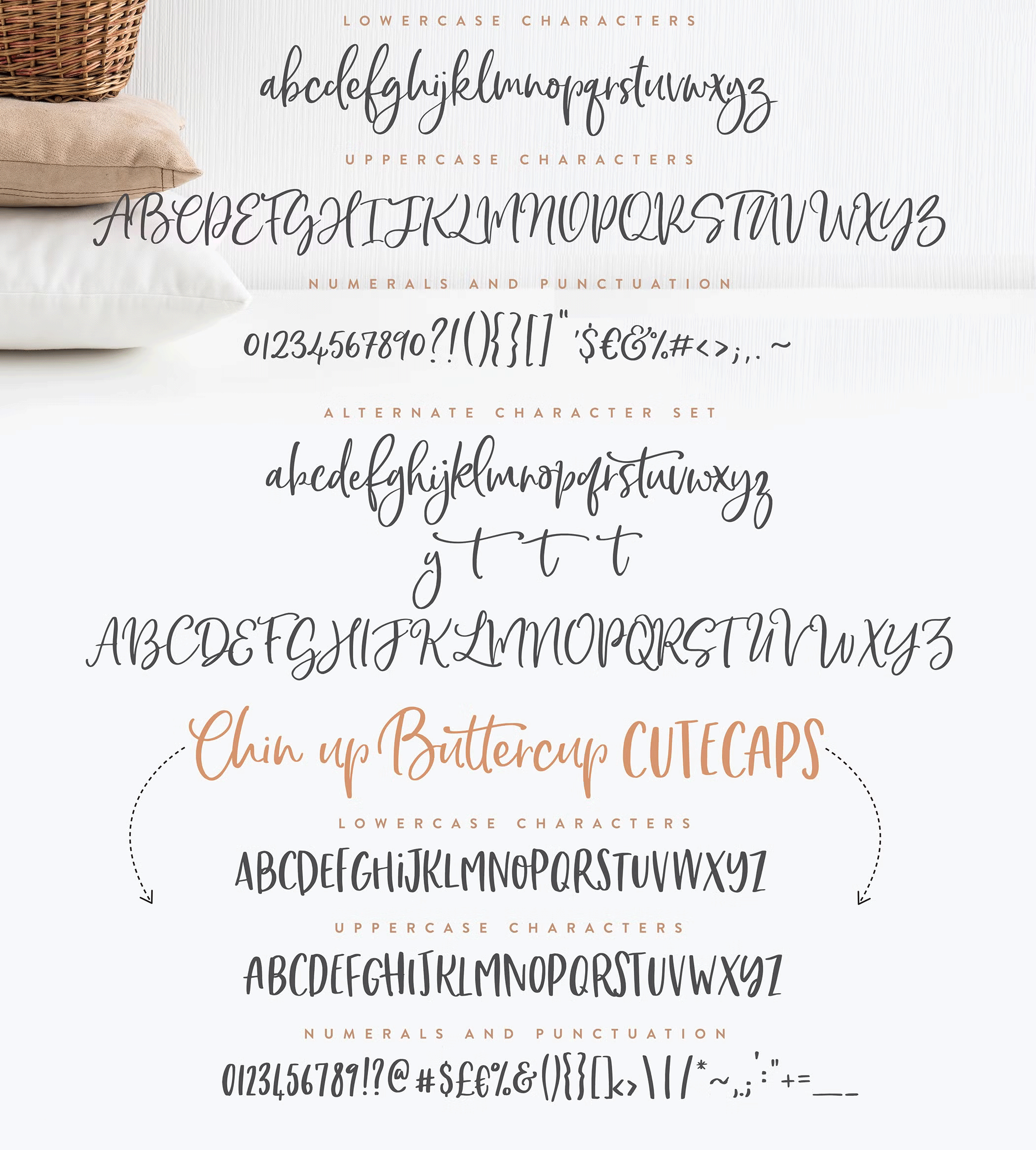 Chin Up Buttercup Script Font 3