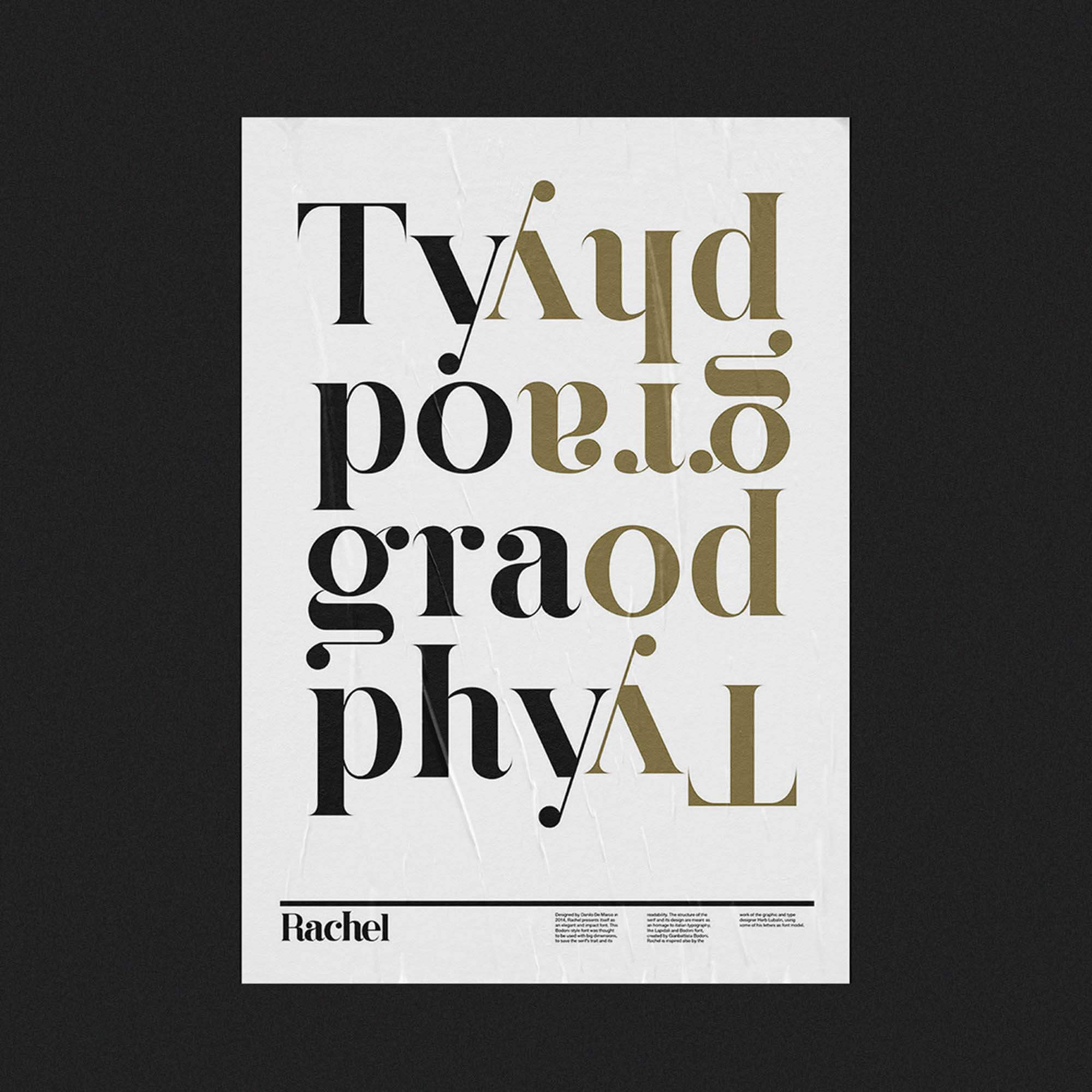 Rachel Serif Typeface 2