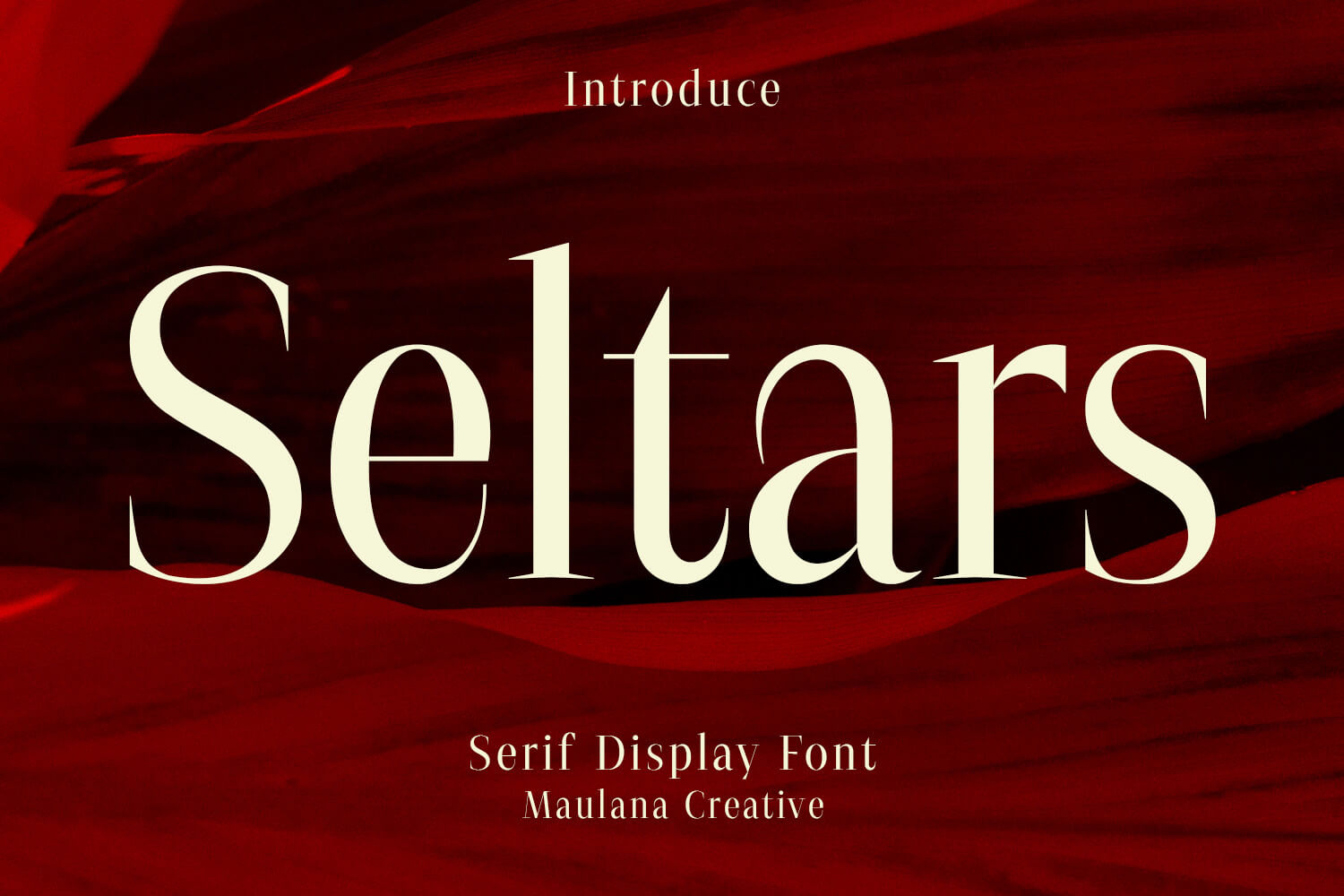 Seltars Font 1