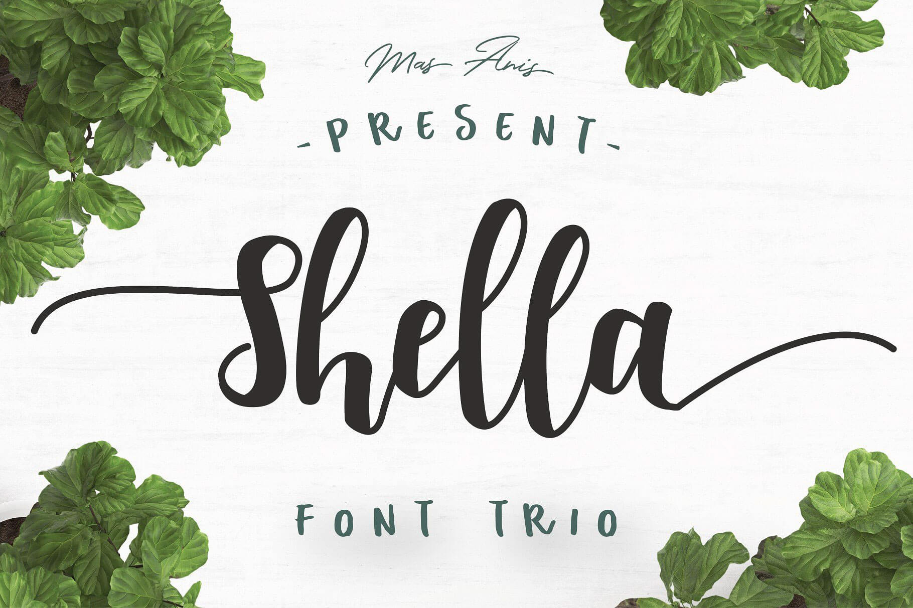 Shella Font