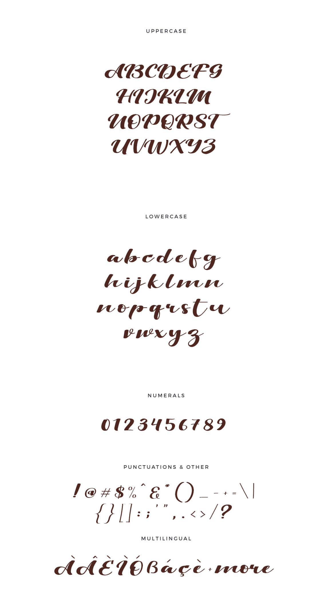 Viksi Calligraphy Font 3