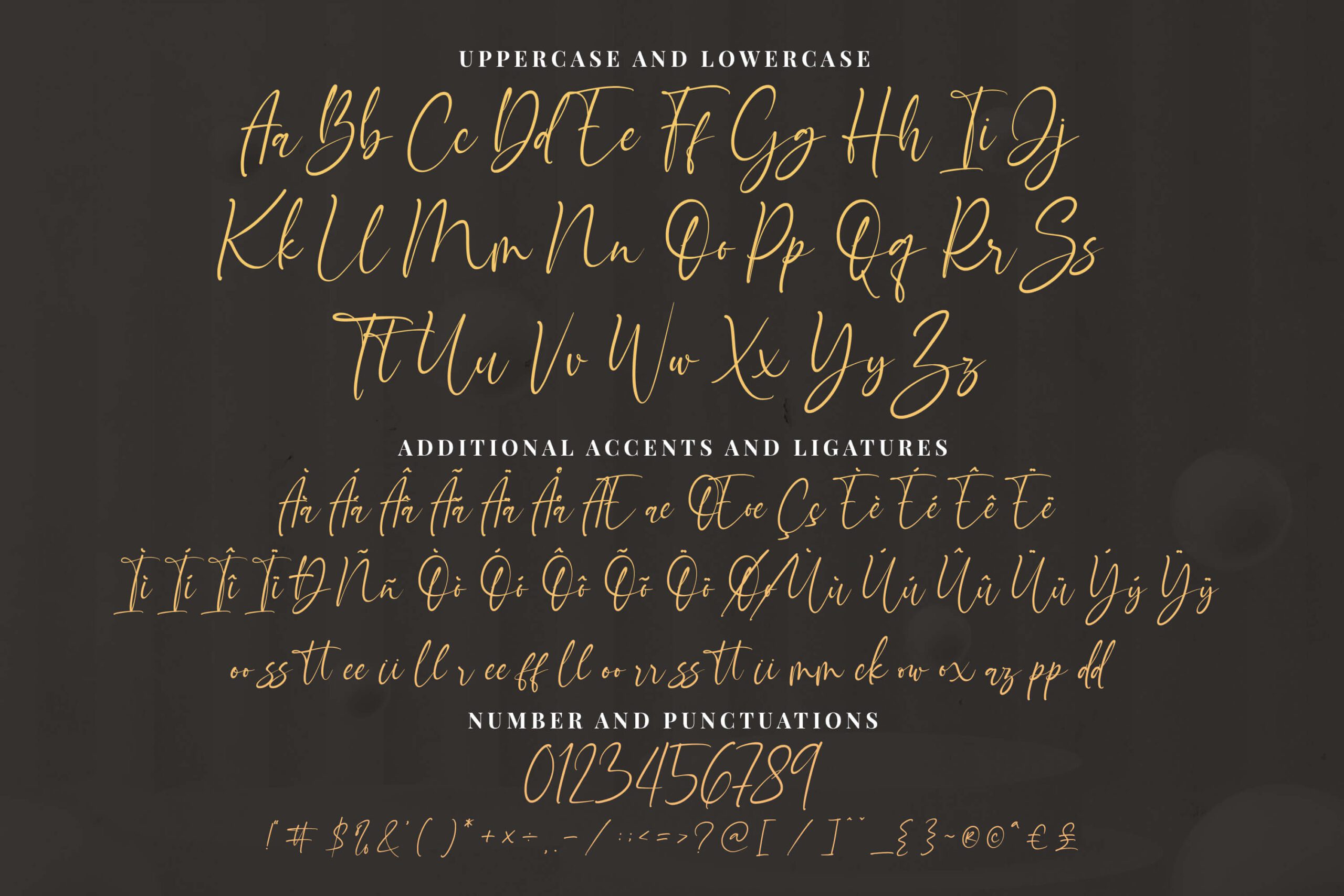 Bouncyland Handwritten Font -3