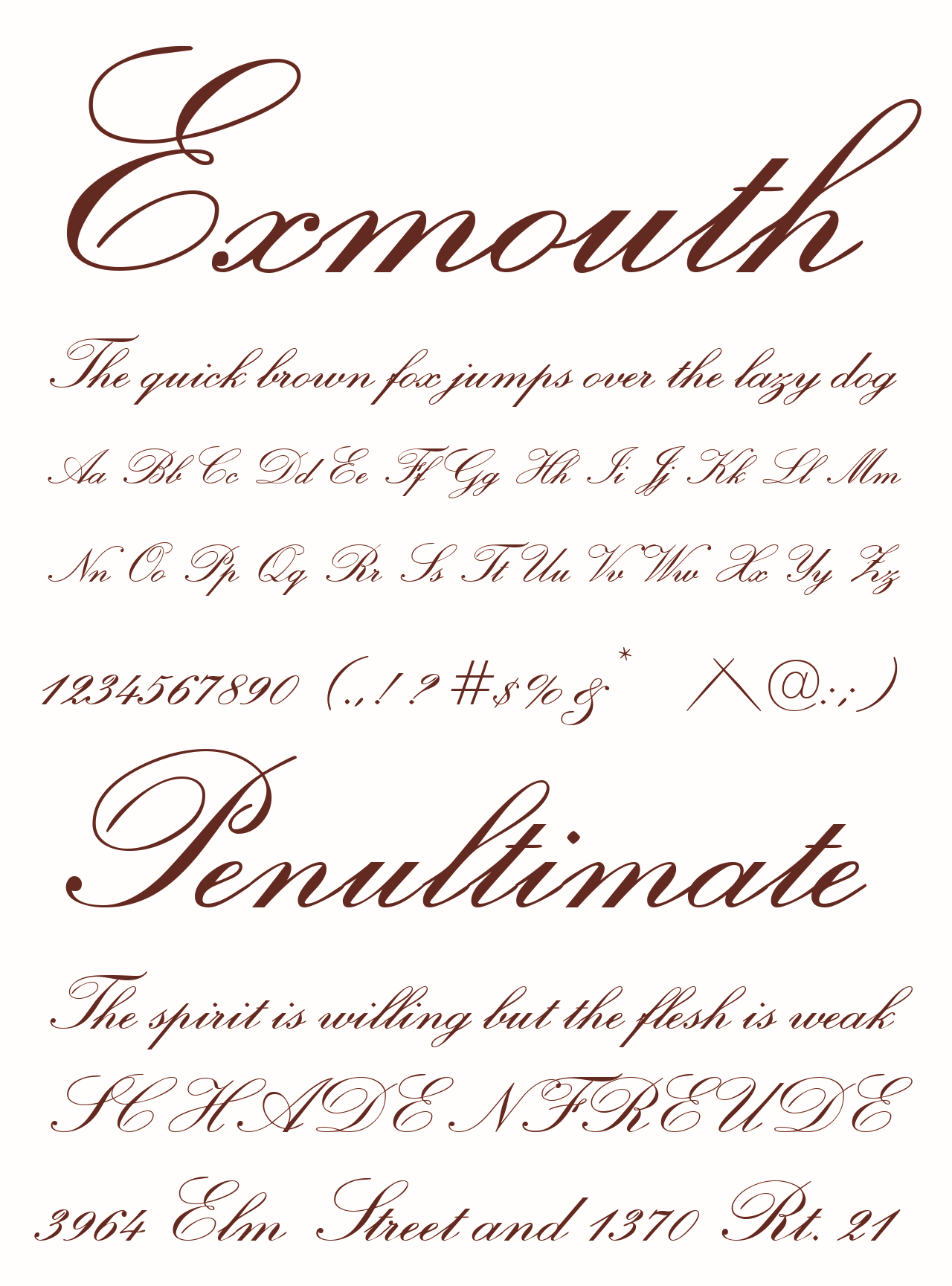 Exmouth Calligraphy Font 2