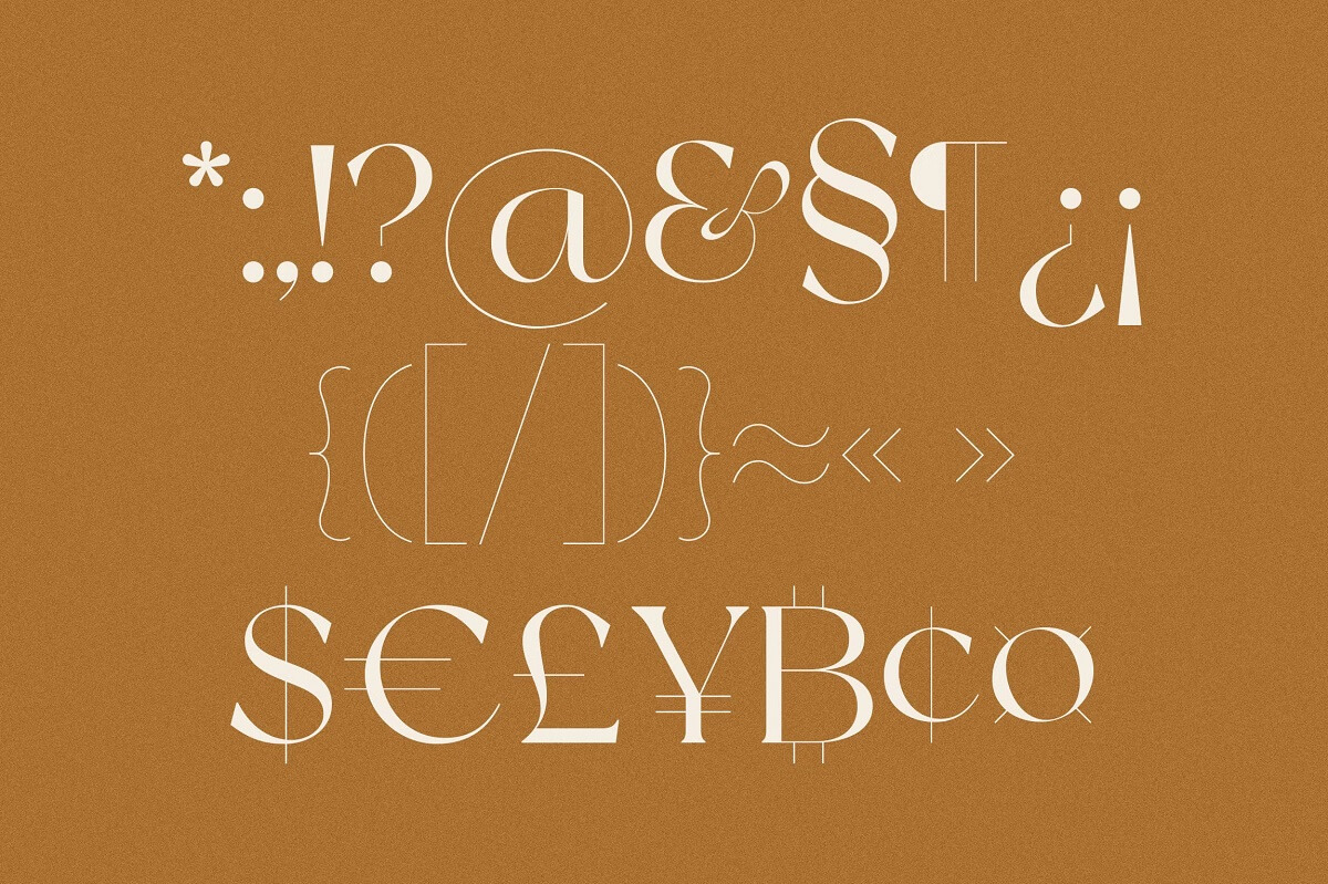 Newyork Serif Font -3