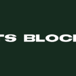 TS Block Sans Font