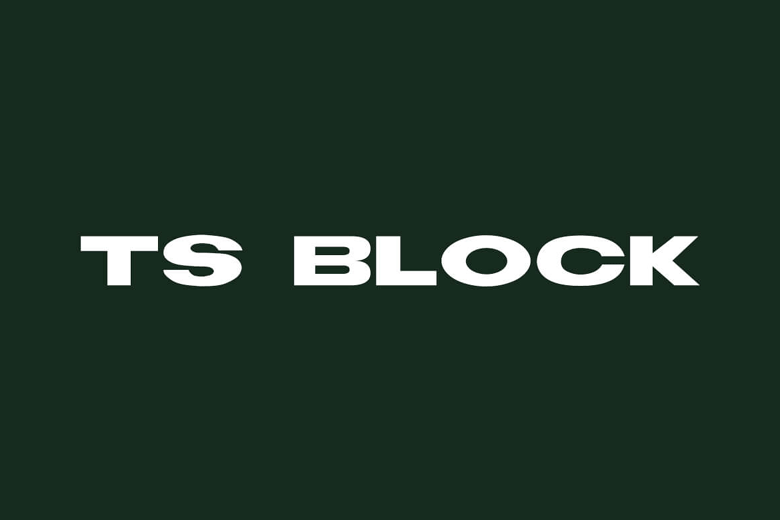 TS Block Sans Font