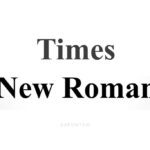 Times New Roman Font