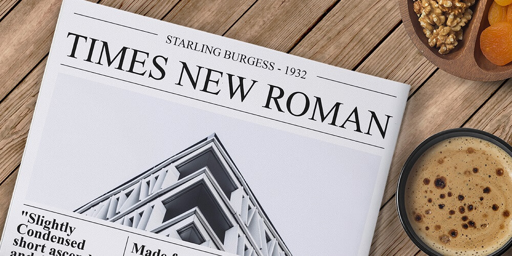 Times New Roman Font 2