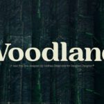 Woodland Font