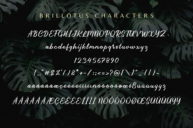 Brillotus Font 3